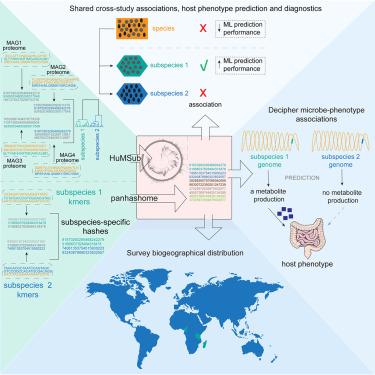Subspecies of the human gut microbiota carry implicit information for in-depth microbiome research