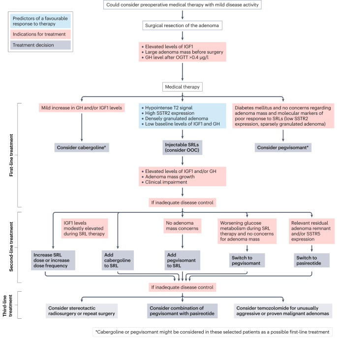 Consensus on acromegaly therapeutic outcomes: an update