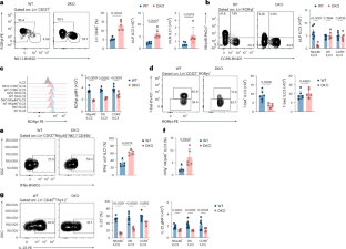 Circadian circuits control plasticity of group 3 innate lymphoid cells by sustaining epigenetic configuration of RORγt
