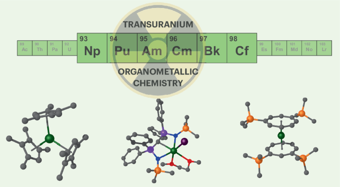 Transuranium organometallic chemistry