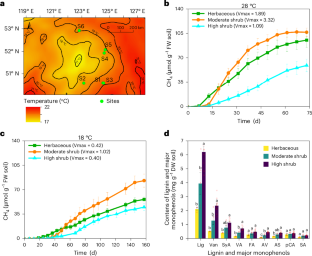 Methane production from lignin in anoxic peatland