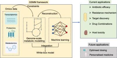 Genome-scale metabolic modelling in antimicrobial pharmacology: Present and future