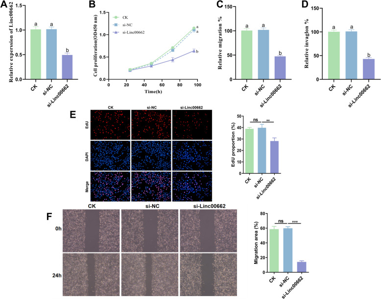 Prognostic value of Linc00662/miR-16-5p/FASN in cervical cancer and regulation of tumor progression.