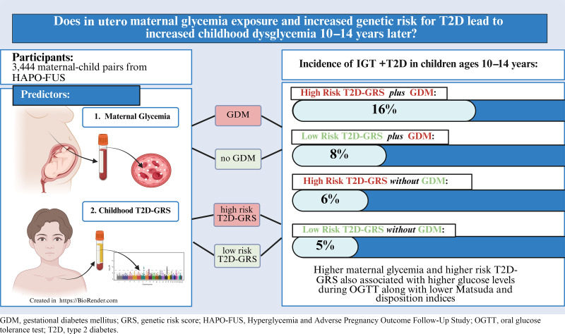 In Utero Exposure to Maternal Hyperglycemia and Offspring Type 2 Diabetes Genetic Risk Score Are Independently Associated With Risk of Impaired Glucose Tolerance in Youth.