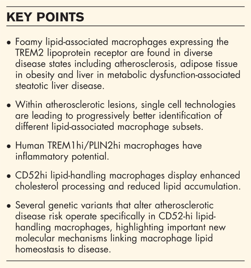 Genetic influences on macrophage function and lipid uptake in atherosclerosis.