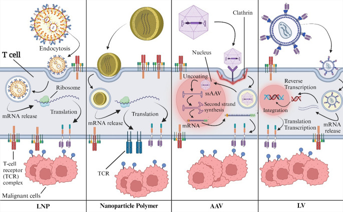 State of the art in CAR-based therapy: In vivo CAR production as a revolution in cell-based cancer treatment.