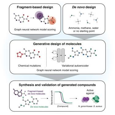 A generative deep learning approach to de novo antibiotic design
