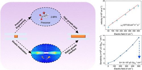 Laminar Flow-Optimized Confined Geometry Assistant Solution Growth of Large-Sized CsPbBr3 Single Crystals for High-Sensitivity X-ray Detection