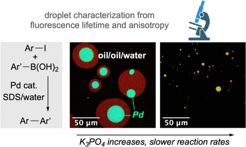 Three-Phase Emulsions during Cross-Coupling Reactions in Water