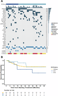 Outcomes of adult patients with newly diagnosed IDH-mutated AML treated with intensive chemotherapy and venetoclax