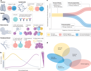 Ageing, immune fitness and cancer