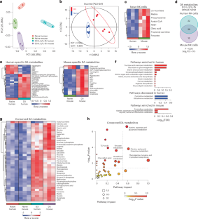Species-specific serine metabolism differentially controls natural killer cell functions