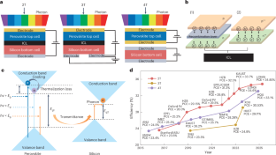 Towards efficient, scalable and stable perovskite/silicon tandem solar cells