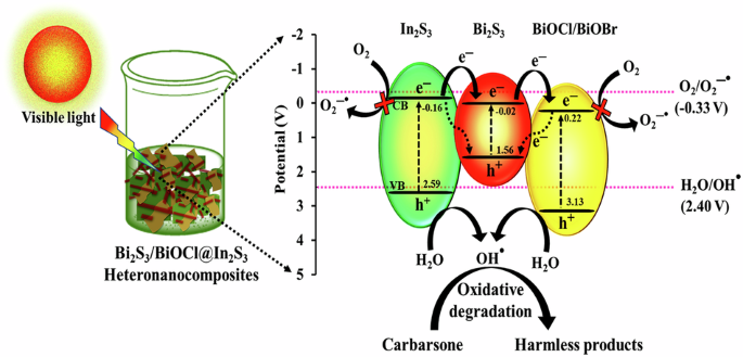 Architecting ternary heteronanocomposites Bi2S3/BiOCl@In2S3 and Bi2S3/BiOBr@In2S3 for photocatalytic detoxification of organoarsenic compound