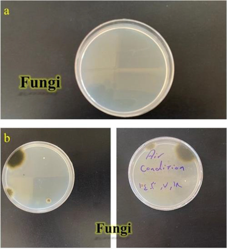Implementation of hazard analysis and critical control points (HACCP) for microbial safety of enteral feeding solutions at Imam Khomeini Hospital, Urmia, Iran.