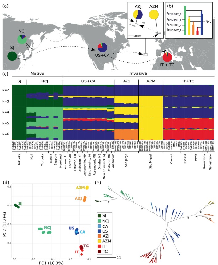 Whole Genome Resequencing Reveals Origins and Global Invasion Pathways of the Japanese Beetle Popillia japonica.