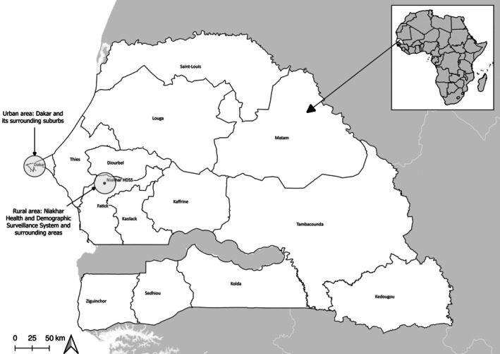 Understanding vaccine recommendation behaviours among healthcare workers in Senegal: A cross-sectional analysis.