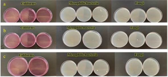 Implementation of hazard analysis and critical control points (HACCP) for microbial safety of enteral feeding solutions at Imam Khomeini Hospital, Urmia, Iran.