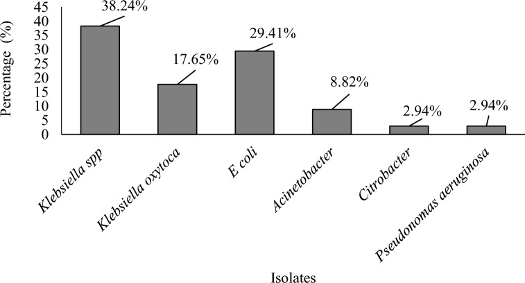 Prevalence and antimicrobial susceptibility of gram-negative bacteria in the urine of females in their reproductive ages in the Tamale Teaching Hospital.