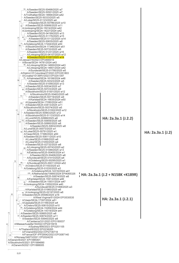Novel influenza A(H1N2) seasonal reassortant virus identified in a patient, Sweden, April 2025.