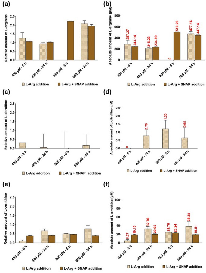 The effect of L-Arg supplementation on L-Arg/NO metabolic and AMPK/ACC-1 signalling pathways in adipose cells (3T3 L1)