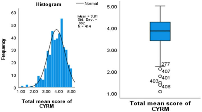 Resilience factors associated with mental health of adolescent learners living with mild and moderate intellectual difficulties.