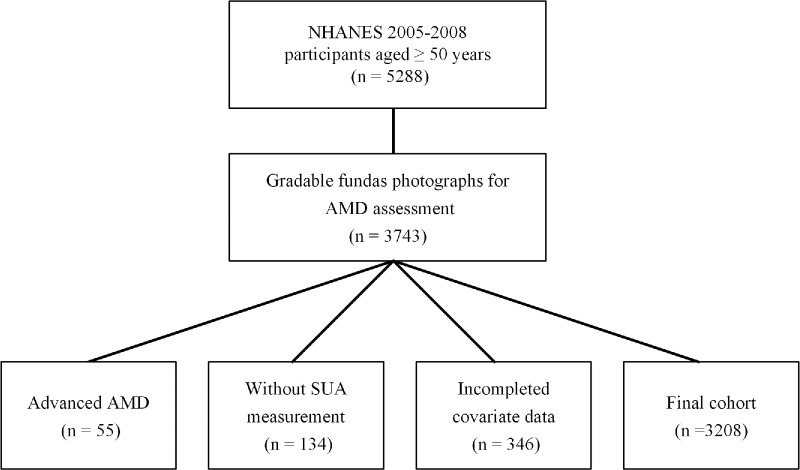 Serum Uric Acid and Intermediate Age-Related Macular Degeneration: A Nationally Representative Study in the United States.