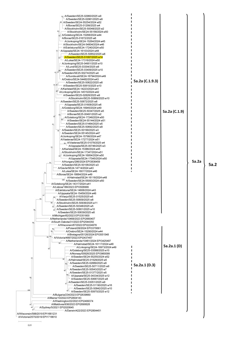 Novel influenza A(H1N2) seasonal reassortant virus identified in a patient, Sweden, April 2025.