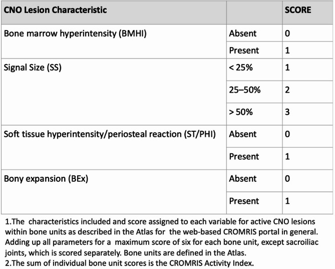 Preliminary validation of a web-based MRI scoring system for children with chronic nonbacterial osteomyelitis (ChRonic nonbacterial Osteomyelitis Magnetic Resonance Imaging Scoring: CROMRIS).