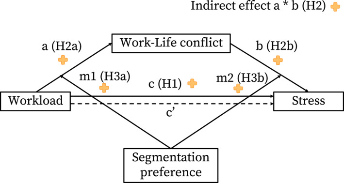 Workload, Work-Life Conflict, and Stress Amongst Mental Health Professionals: The Moderating Role of Segmentation Preference.