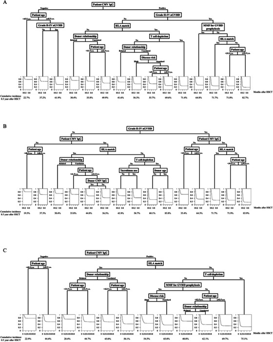 Machine Learning Algorithm to Explore Patients With Heterogeneous Treatment Effects of Clinically Significant CMV Infection and Non-Relapse Mortality After HSCT.