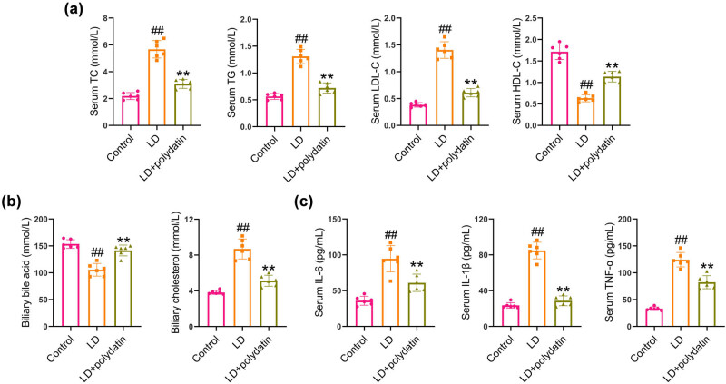 Polydatin prevents cholesterol gallstone formation by regulating cholesterol metabolism via PPAR-γ signaling.