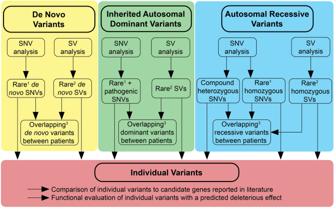 Genetic evaluation of five patients with ROHHAD-NET using whole genome sequencing and optical genome mapping.