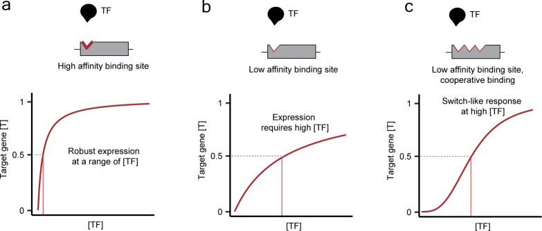 Transcriptional regulation as a dose-dependent process: insights from transcription factor tuning.