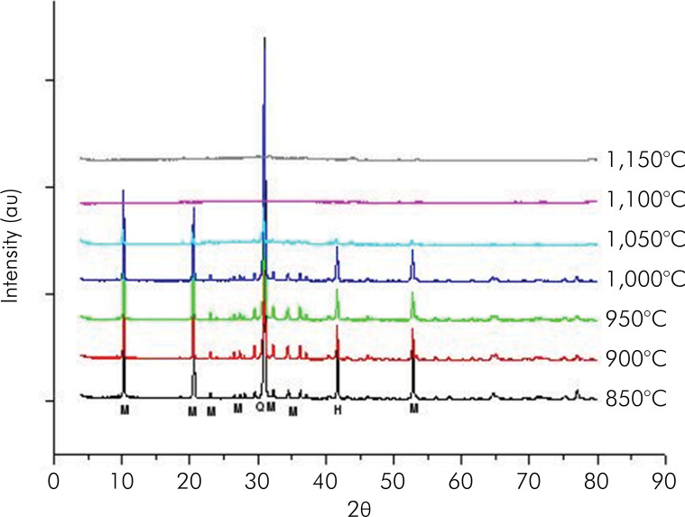 Production and characterization of feldspathic-muscovite glass composite for dental prosthesis.