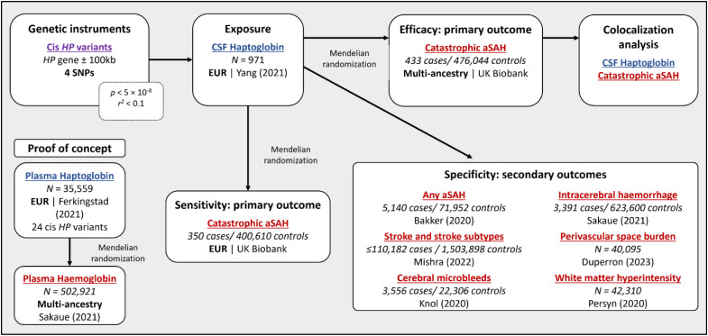 Cerebrospinal fluid haptoglobin levels and outcome after aneurysmal subarachnoid haemorrhage: Evidence from Mendelian randomization.