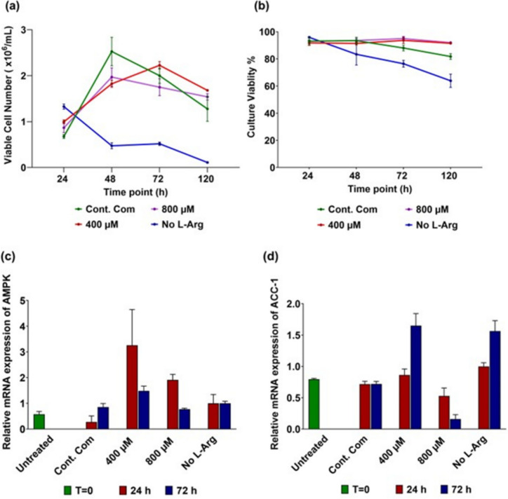 The effect of L-Arg supplementation on L-Arg/NO metabolic and AMPK/ACC-1 signalling pathways in adipose cells (3T3 L1)