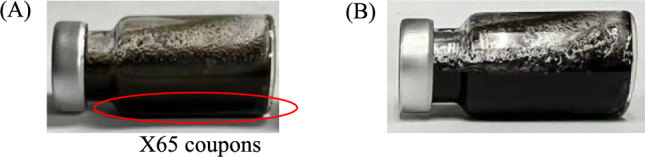 Assessing the performance of a disposable electrochemical biofilm test kit on monitoring drainage sludge biofilm corrosion and its biocide treatment.