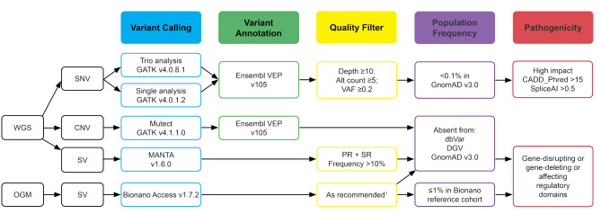 Genetic evaluation of five patients with ROHHAD-NET using whole genome sequencing and optical genome mapping.