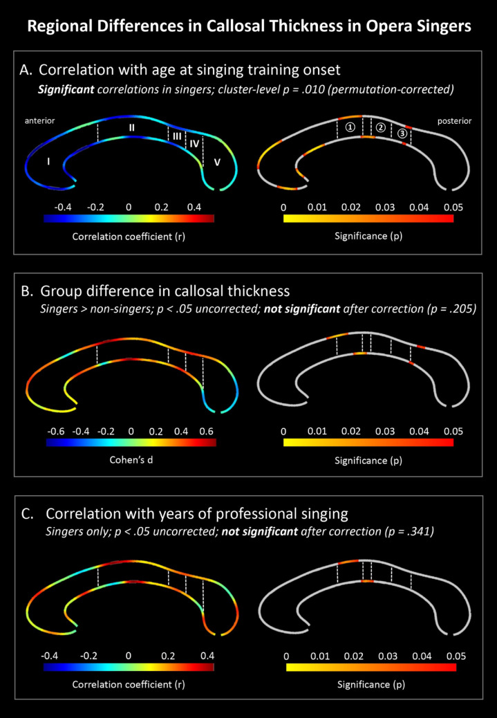 Increased Callosal Thickness in Early Trained Opera Singers.