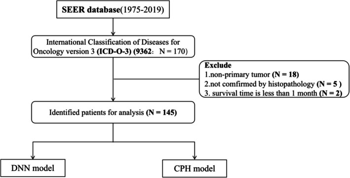 Development and Validation of Survival Prediction Models for Patients With Pineoblastomas Using Deep Learning: A SEER-Based Study.