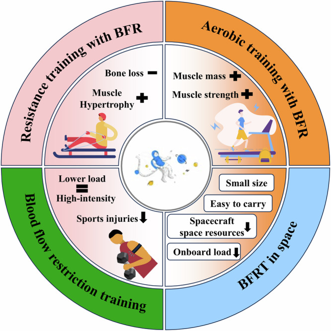 Blood flow restriction training in microgravity: a review of multisystem physiological benefits and implementation challenges for long-duration space missions.