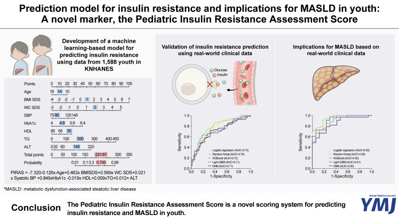 Prediction Model for Insulin Resistance and Implications for MASLD in Youth: A Novel Marker, the Pediatric Insulin Resistance Assessment Score.