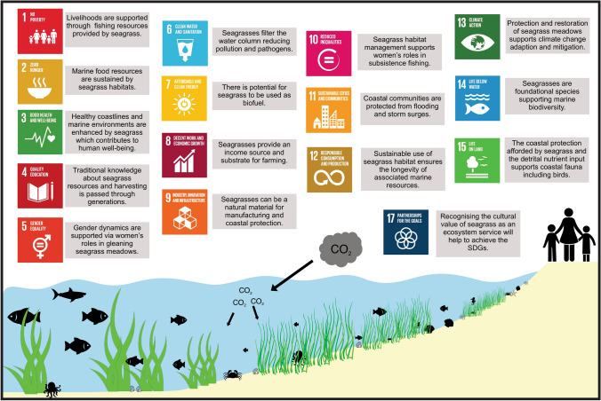 Societal value of seagrass from historical to contemporary perspectives.