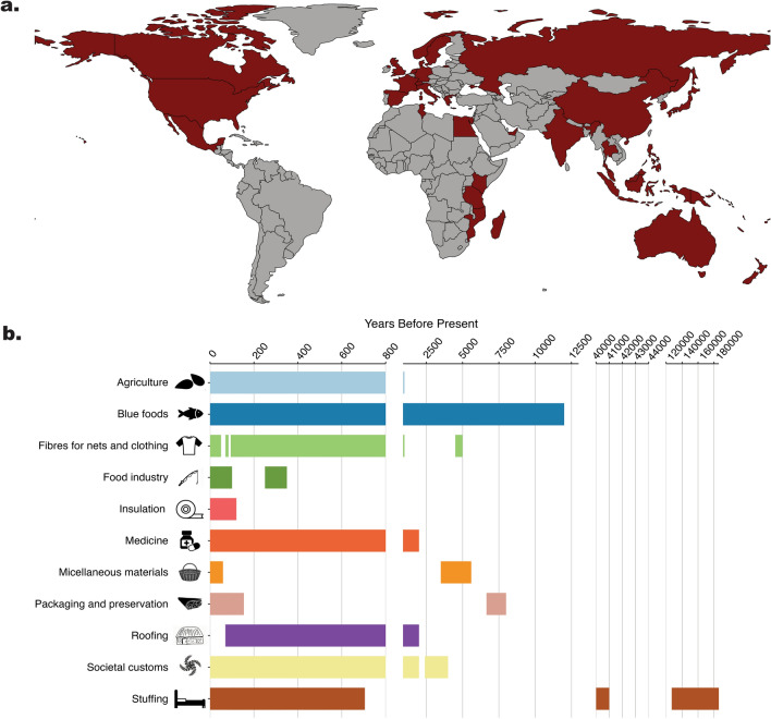 Societal value of seagrass from historical to contemporary perspectives.