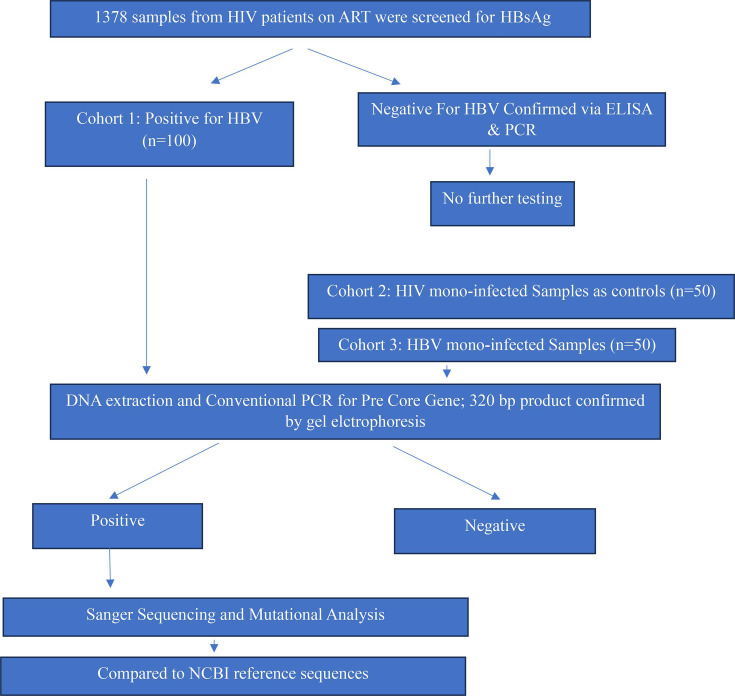 Molecular analysis of HBV pre-core gene mutations in patients co-infected with HIV at a tertiary care hospital in North India.