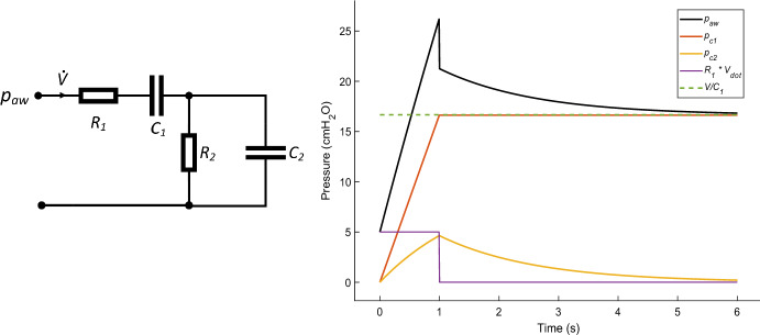 Practical Identifiability in a Viscoelastic Respiratory Model for Mechanical Ventilation.
