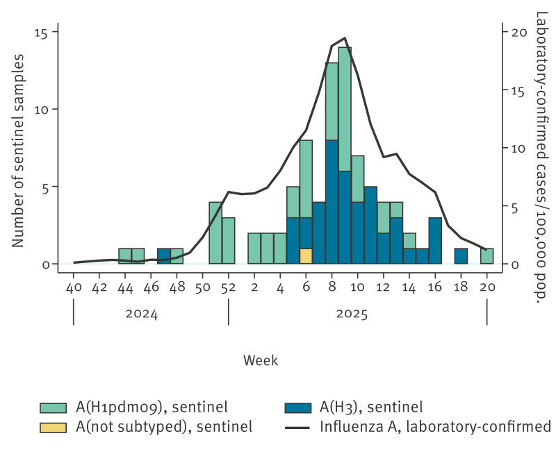 Novel influenza A(H1N2) seasonal reassortant virus identified in a patient, Sweden, April 2025.