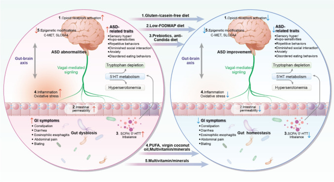 Gastrointestinal health and nutritional strategies in autism spectrum disorder.