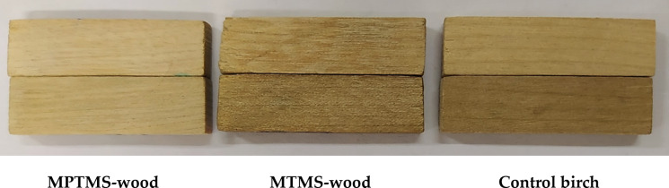 Silanes for conservation of archaeological woods using modeled birch wood: antifungal, physical-chemical and TGA studies.